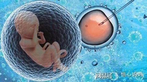 找卵代生男孩机构